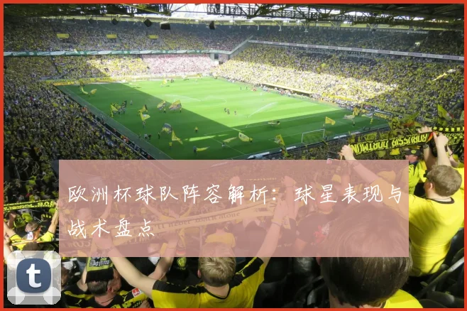 欧洲杯球队阵容解析：球星表现与战术盘点